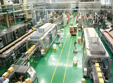 食品/飼料/塑料企業廢氣（qì）處理